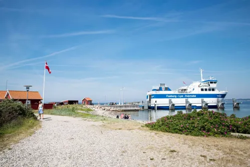 Øhop I Det Sydfynske Øhav