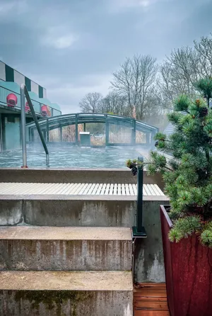 Infinity Pool Vinter